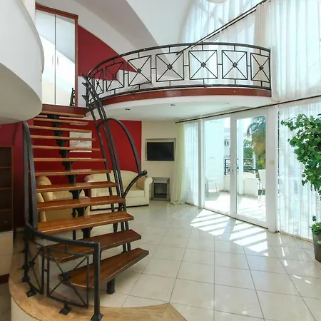 Seahorse Deluxe Дидим