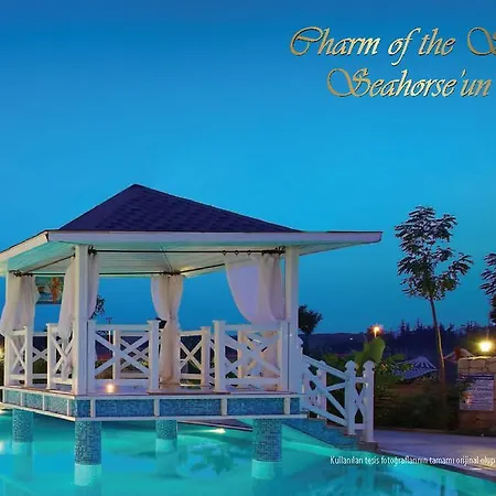 Seahorse Deluxe Отель