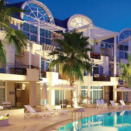 Seahorse Deluxe Ντιντίμ