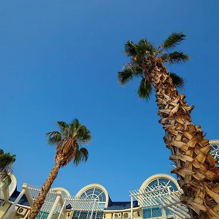 Seahorse Deluxe 3* Ντιντίμ